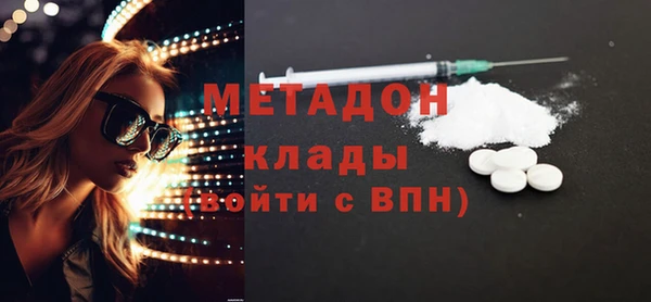 сатива Каменногорск