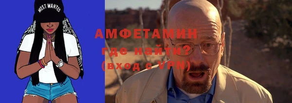 сатива Каменногорск