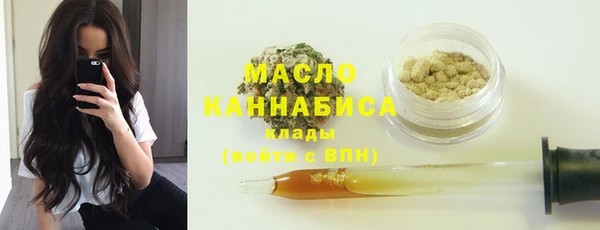 сатива Каменногорск