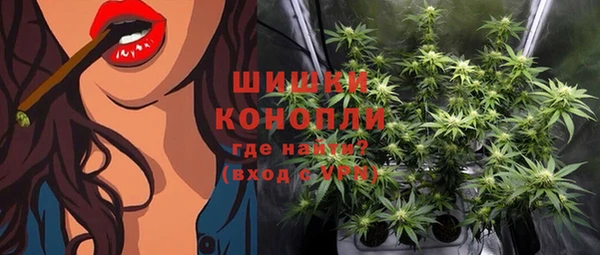 сатива Каменногорск