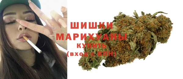 сатива Каменногорск